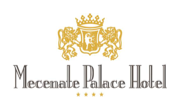Mecenate Palace Рим